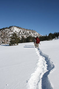 Snowshoe trail